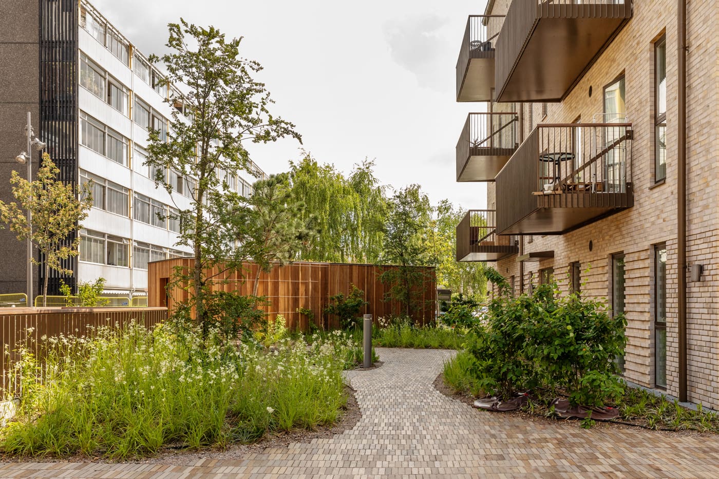 COURTYARD GARDEN AT BERNHARD - MASU